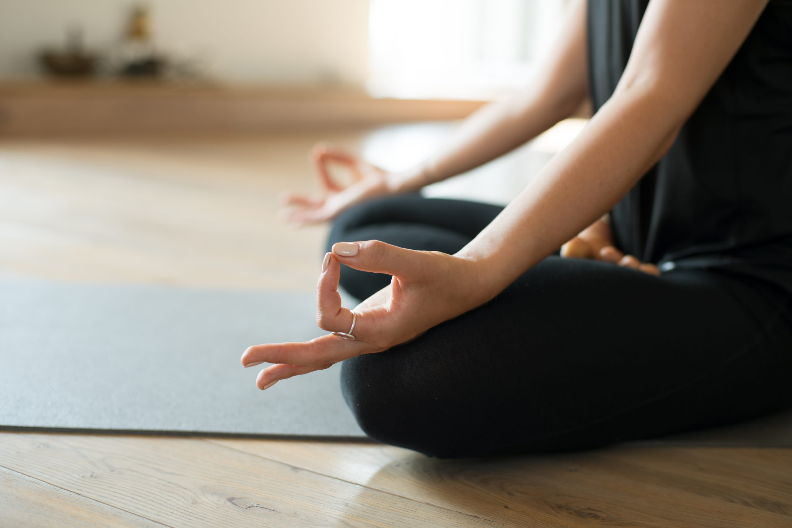 Fasten mit Yoga und Meditation (2401)