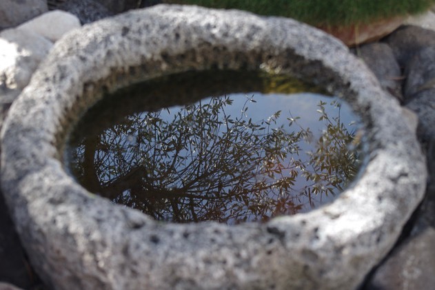 Kontemplationstag (2607)